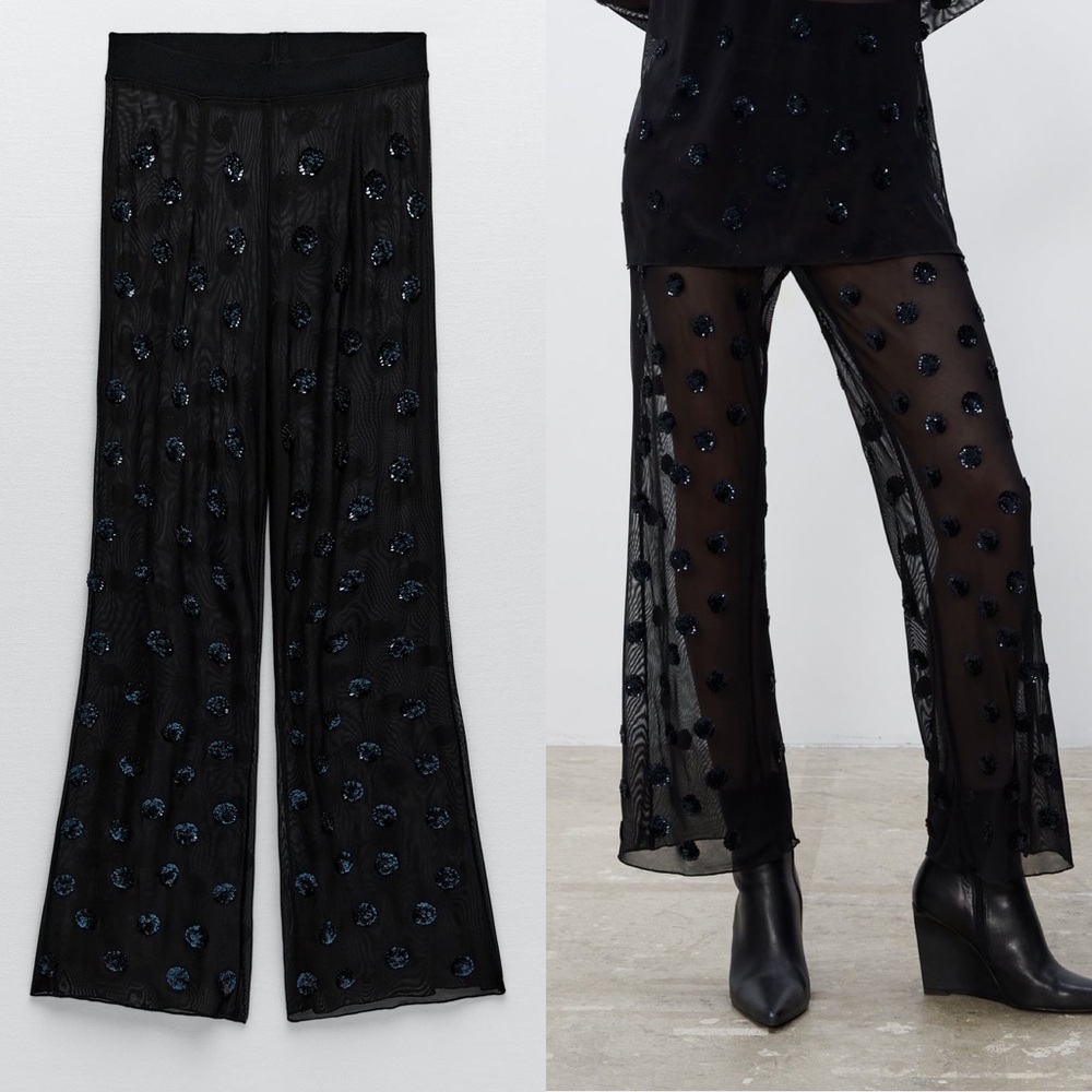 Zara Semi-Sheer trousers-special edition